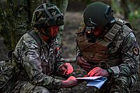 Streamlight 14000 Sidewinder 55-Lumens LED Military Waterproof Flashlight with (2) AA Alkaline Batteries in Clamshell, Coyote Military Waterproof Without Mount in Clam Coyote