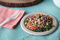 Eco-Products Compostable CPLA 7" Plastic Dinner Forks, Case of 1000, Disposable White Fork, Plantware Cutlery