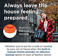 Mace Brand Personal Alarm Keychain