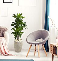 Nearly Natural 4ft. Dracaena Artificial Plant in Sand Colored Planter (Real Touch), Green