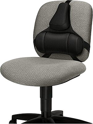 Fellowes Professional Series Back Support with Microban Protection, Black (8037601)