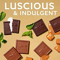 Ghirardelli Chocolate Squares, Premium Assortment, 15.77 Oz Bag