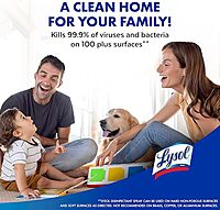 Lysol Disinfectant Spray