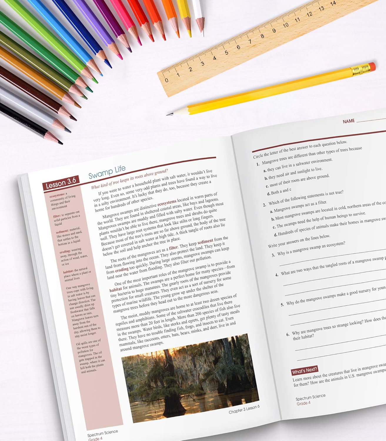 Spectrum Science 4th Grade Workbooks, Focused Practice to Support Science literacy