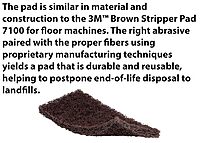 3M Doodlebug Brown Scrub 'N Strip Pad 8541, 4.625 in x 10 in (20 count)