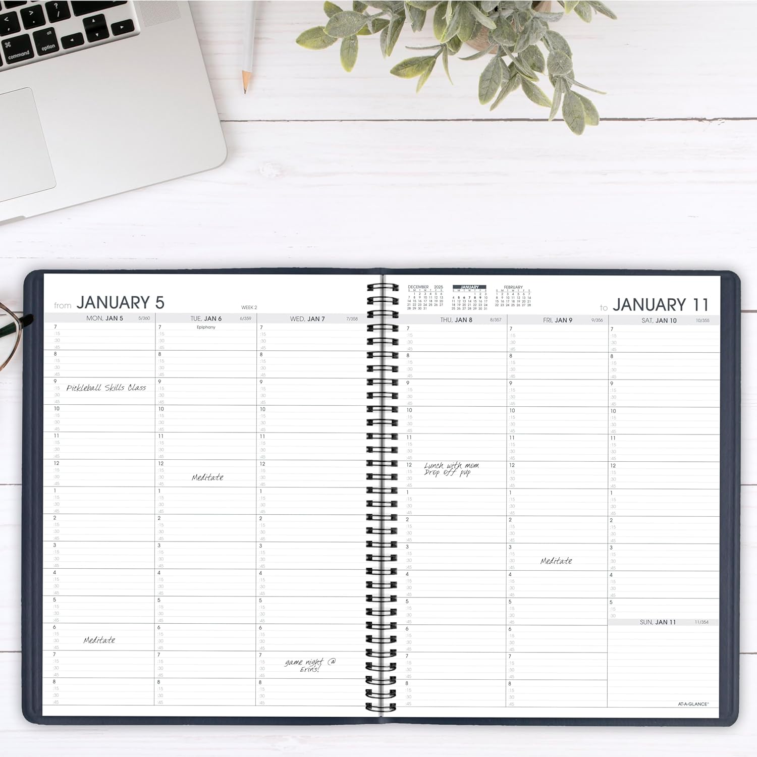 AT-A-GLANCE Weekly Appointment Book Planner, Large