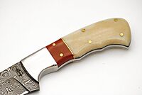 BucknBear Custom Handmade Damascus Fixed Blade Hunting Knife (Micarta & Bone Handle)