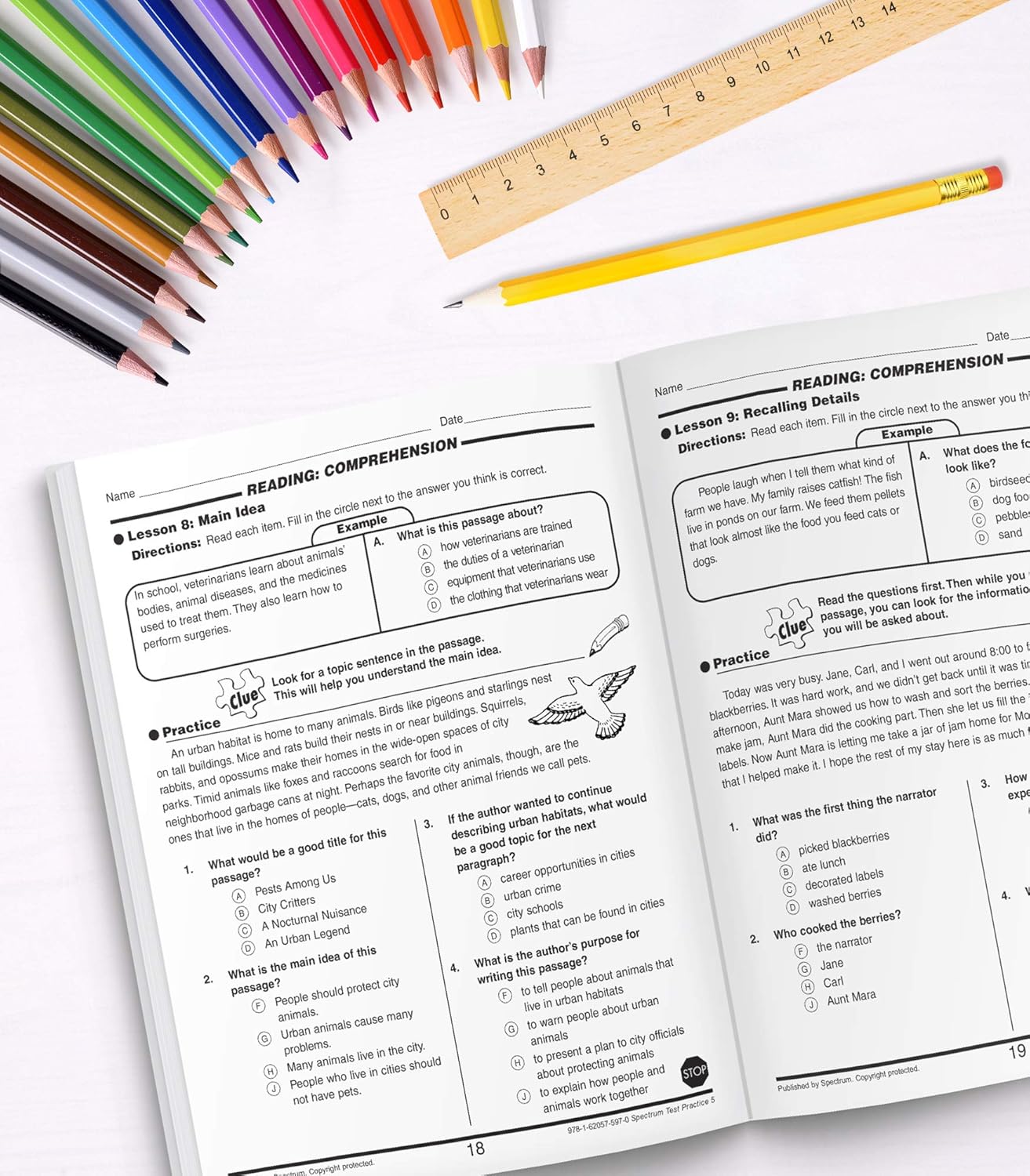 Spectrum 5th Grade Test Practice Workbooks All Subjects, Ages 10 to 11, 5th Grade Test Practice, Language Arts