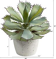 Nearly Natural Succulent 11inH Artificial Plant With Planter, 11inH x 10inW x 10inD, Green/White