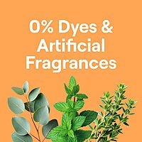 Seventh Generation Disinfecting Spray Cleaner Eucalyptus and Thyme Disinfectant 13.9 oz, Pack of 8 13.9 Ounce (Pack of 8)