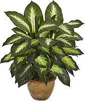 Nearly Natural 18inH Dieffenbachia Artificial Plant With Ceramic Planter, 18inH x 16inW x 16inD, Tan/Green