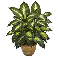 Nearly Natural 18inH Dieffenbachia Artificial Plant With Ceramic Planter, 18inH x 16inW x 16inD, Tan/Green