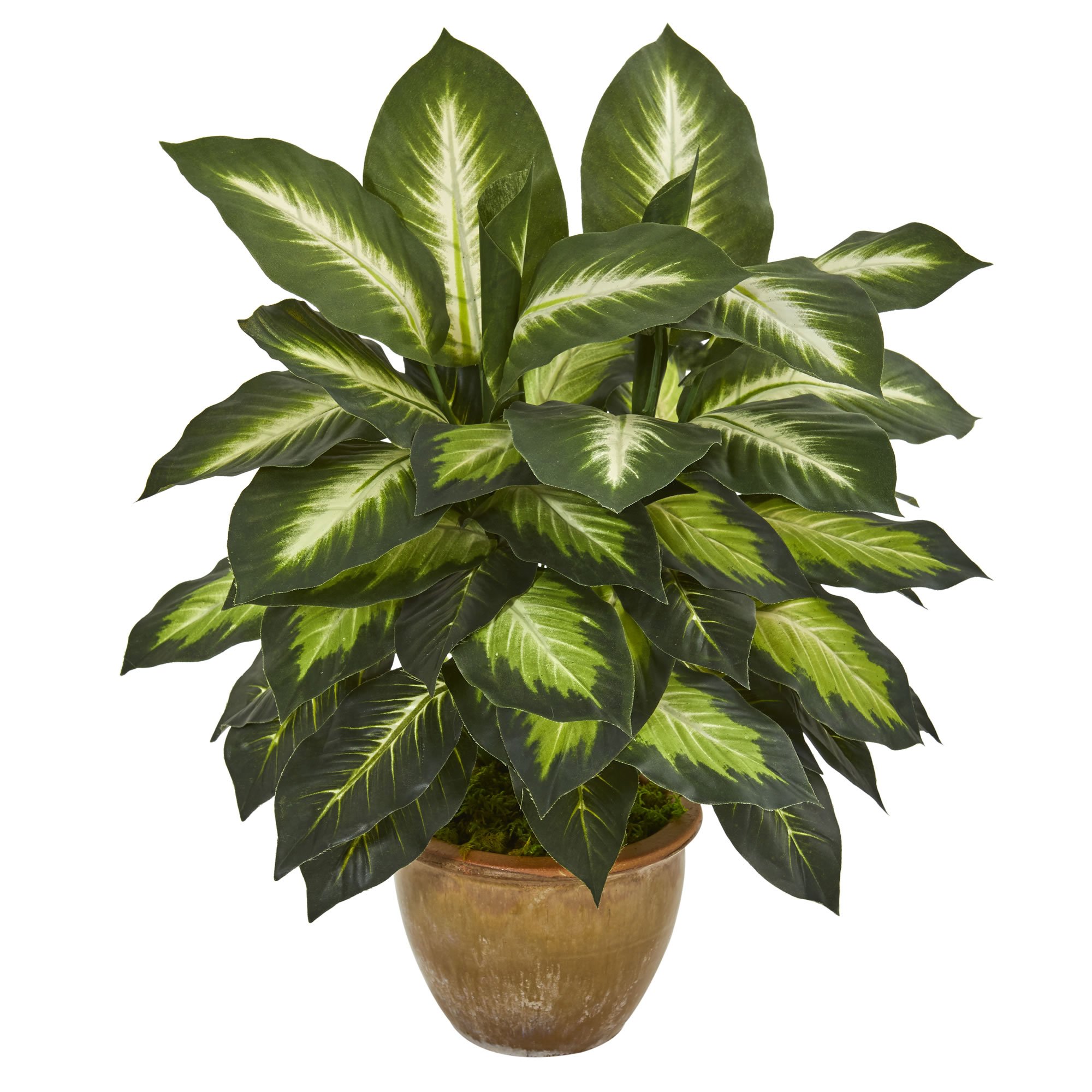 Nearly Natural 18inH Dieffenbachia Artificial Plant With Ceramic Planter, 18inH x 16inW x 16inD, Tan/Green