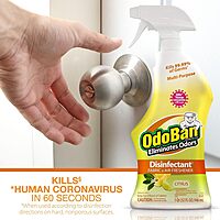 OdoBan Ready-to-Use Disinfectant and Odor Eliminator, 32 fl oz Spray Bottle