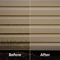 CLOROX Disinfecting Bleach, Concentrated Formula, Regular - 43 Fl oz