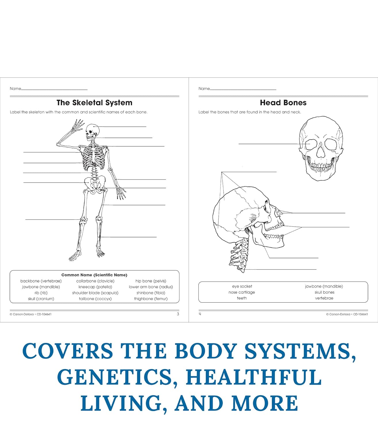Carson Dellosa The 100+ Series: Human Body WorkbookGrades 5-8 Science Book, Human Anatomy, Bones, Muscles, Organs, the Nervous System, Health and Nutrition (128 pgs) (Volume 13)