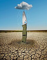 SPYDERCO Caribbean Salt Knife with LC200N Corrosion-Resistant Blade