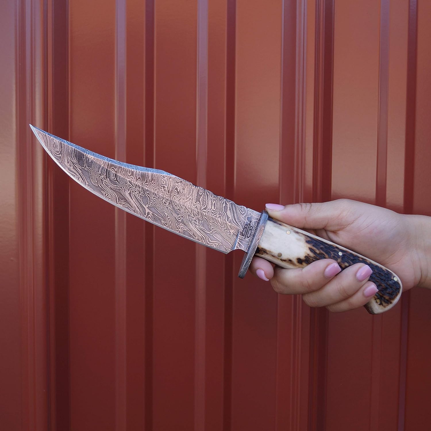 BucknBear Custom Handmade 1095 Damascus Fixed Blade Bowie Hunting Knife (Stag Handle)