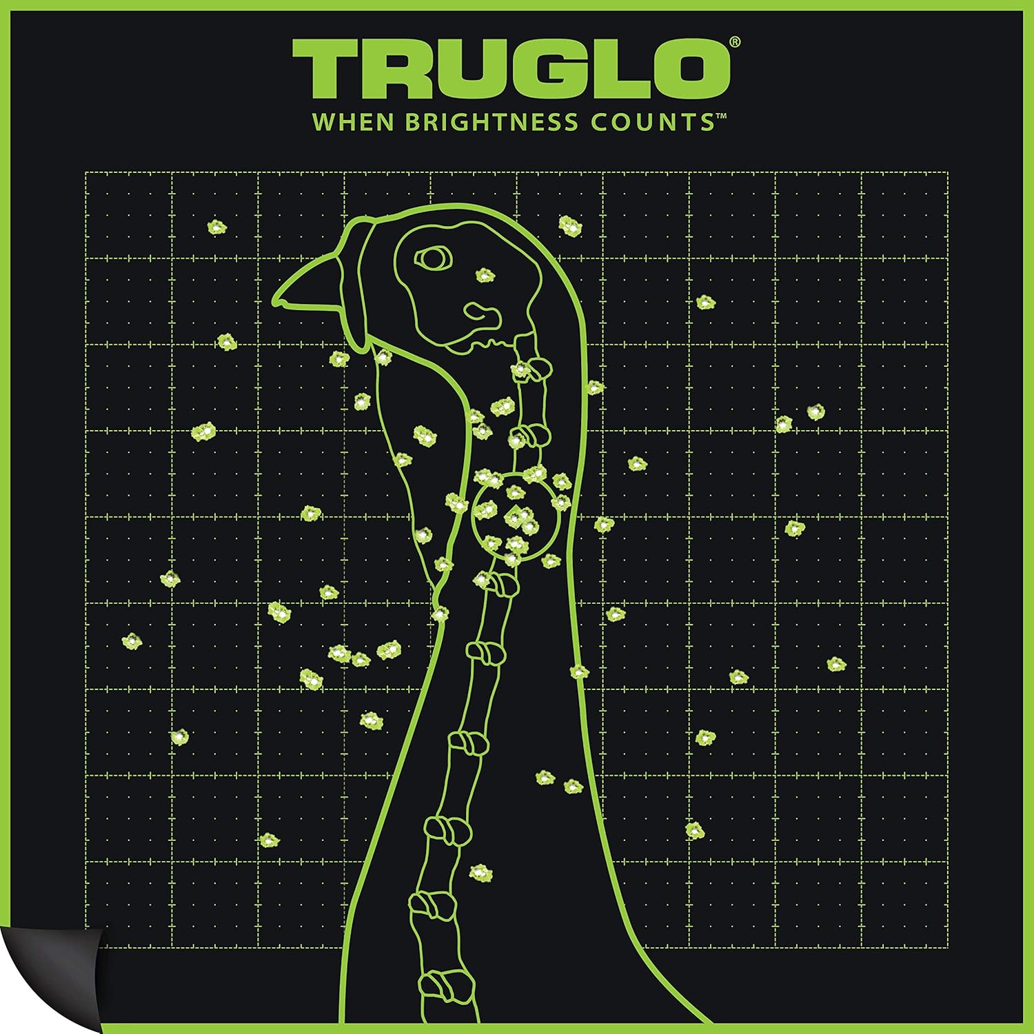 TRUGLO Bright Thru-See Splatter Florescent Self-Adhesive High-Visible Turkey Hunting Targets 12X12 with Increased Target