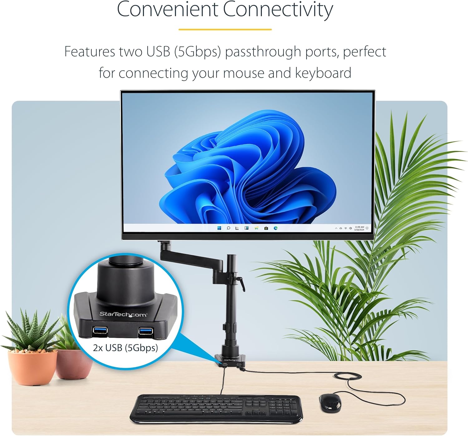 StarTech.com Desk Mount Monitor Arm (VESA 75/100)