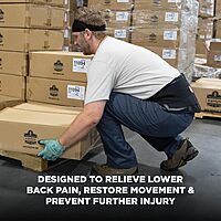 Ergodyne ProFlex 1051 Mesh Back Support