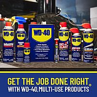 WD-40 Original Formula, Multi-Use Product with Smart Straw Sprays 2 Ways,12 OZ 1-Pack Sprays