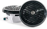 Roswell R1 8” Marine Speakers - Black - 100W RMS & 200W Peak Power