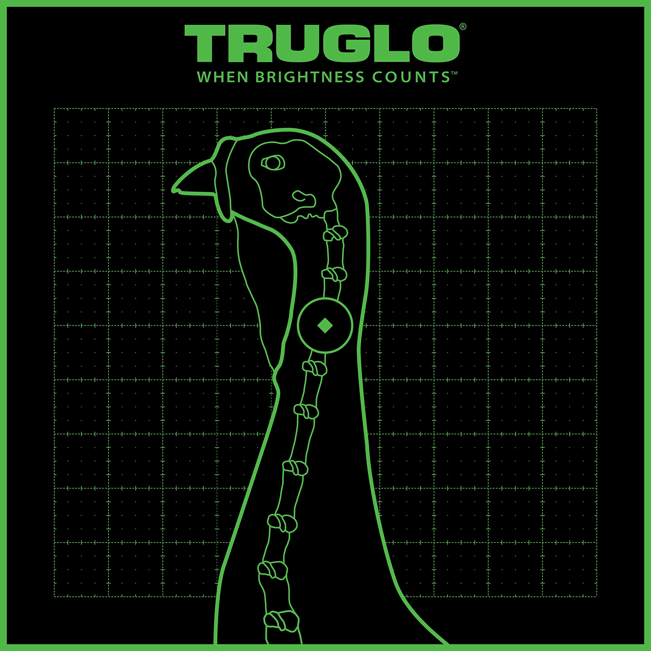 TRUGLO Bright Thru-See Splatter Florescent Self-Adhesive High-Visible Turkey Hunting Targets 12X12 with Increased Target