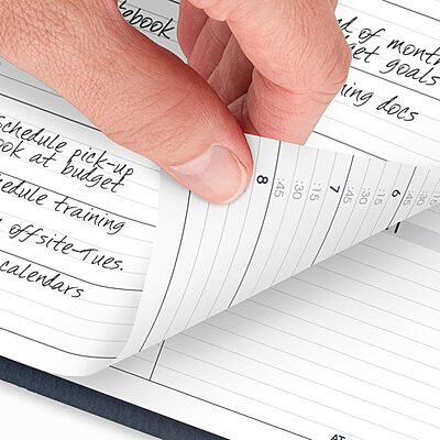 AT-A-GLANCE Weekly Appointment Book Planner, Large