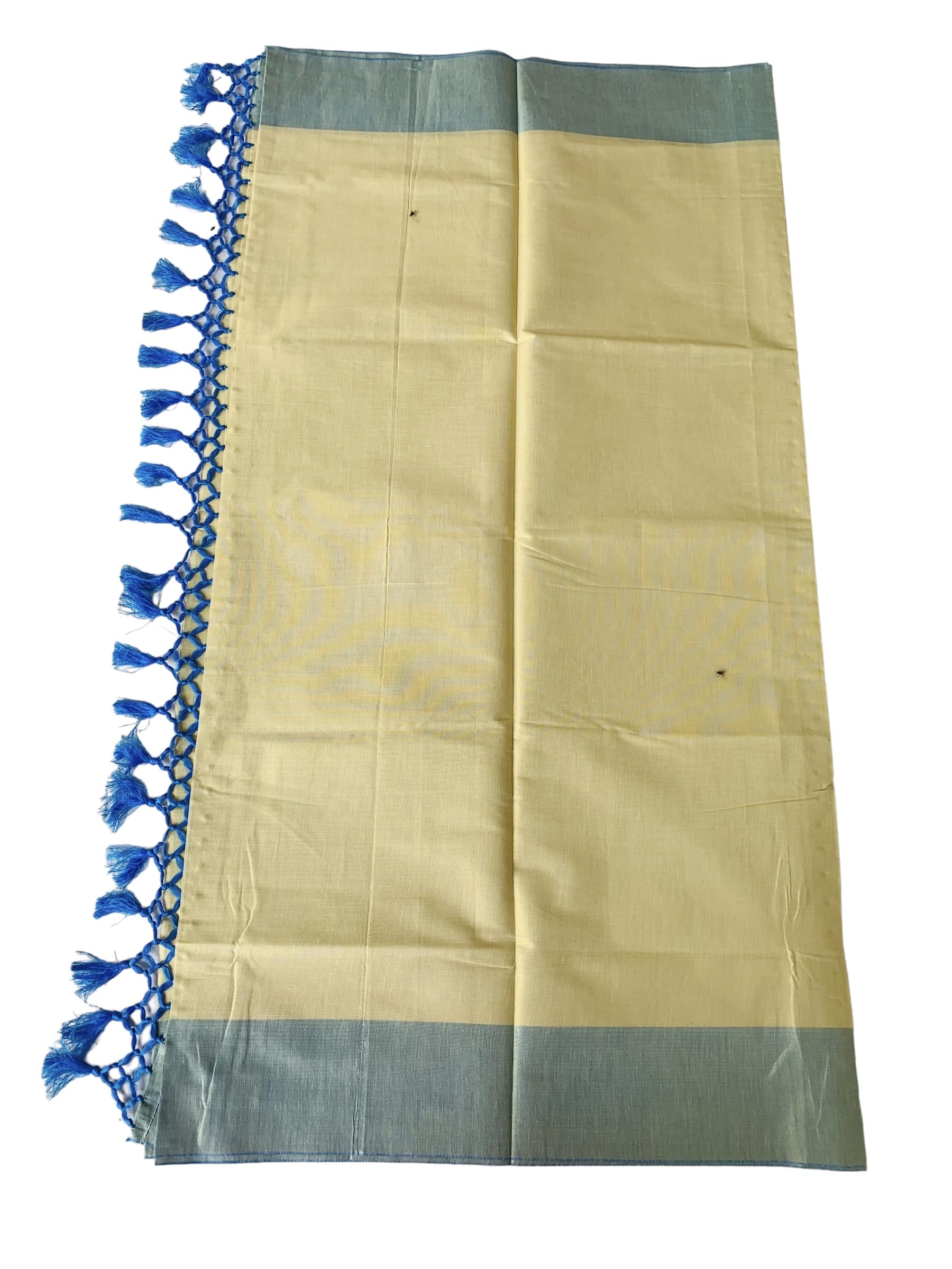 ALLUVY Kuthampully Kerala Saree |Traditional South Indian Sarees |Onam Tissue Kasavu Saree |Authentic South Cultural Sarees | Women's Plain Zari Kasavu |EKM-778 Pack -1 (Light Blue)