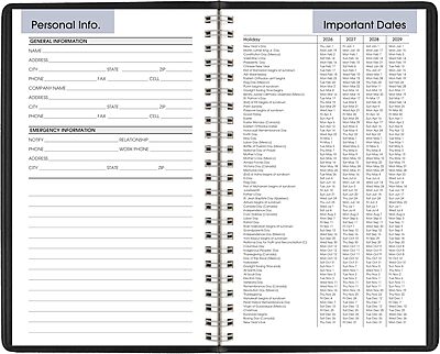 AT-A-GLANCE 2026 Appointment Book Planner, Weekly, 5" x 8", Small, DayMinder, Black (G2000026) 2026 New Edition