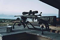 Caldwell Stinger Adjustable Ambidextrous Rifle Shooting Rest with Lightweight Design for Rifle Shooting, Stability, Sight in