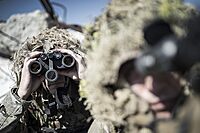 STEINER Military Binoculars, Military-Grade Precision and Optical Clarity