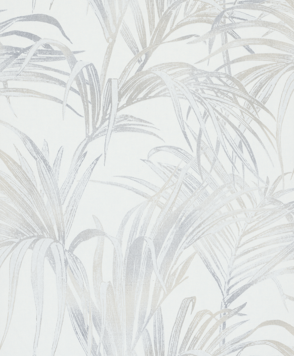 82412 Wallpaper Kylie
