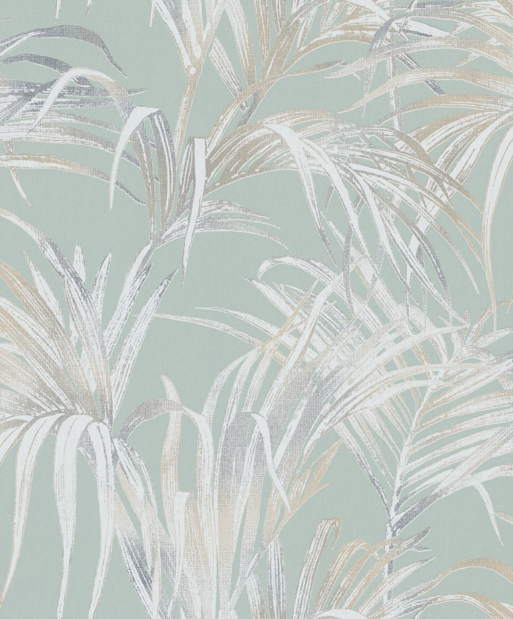 82414 Wallpaper Kylie