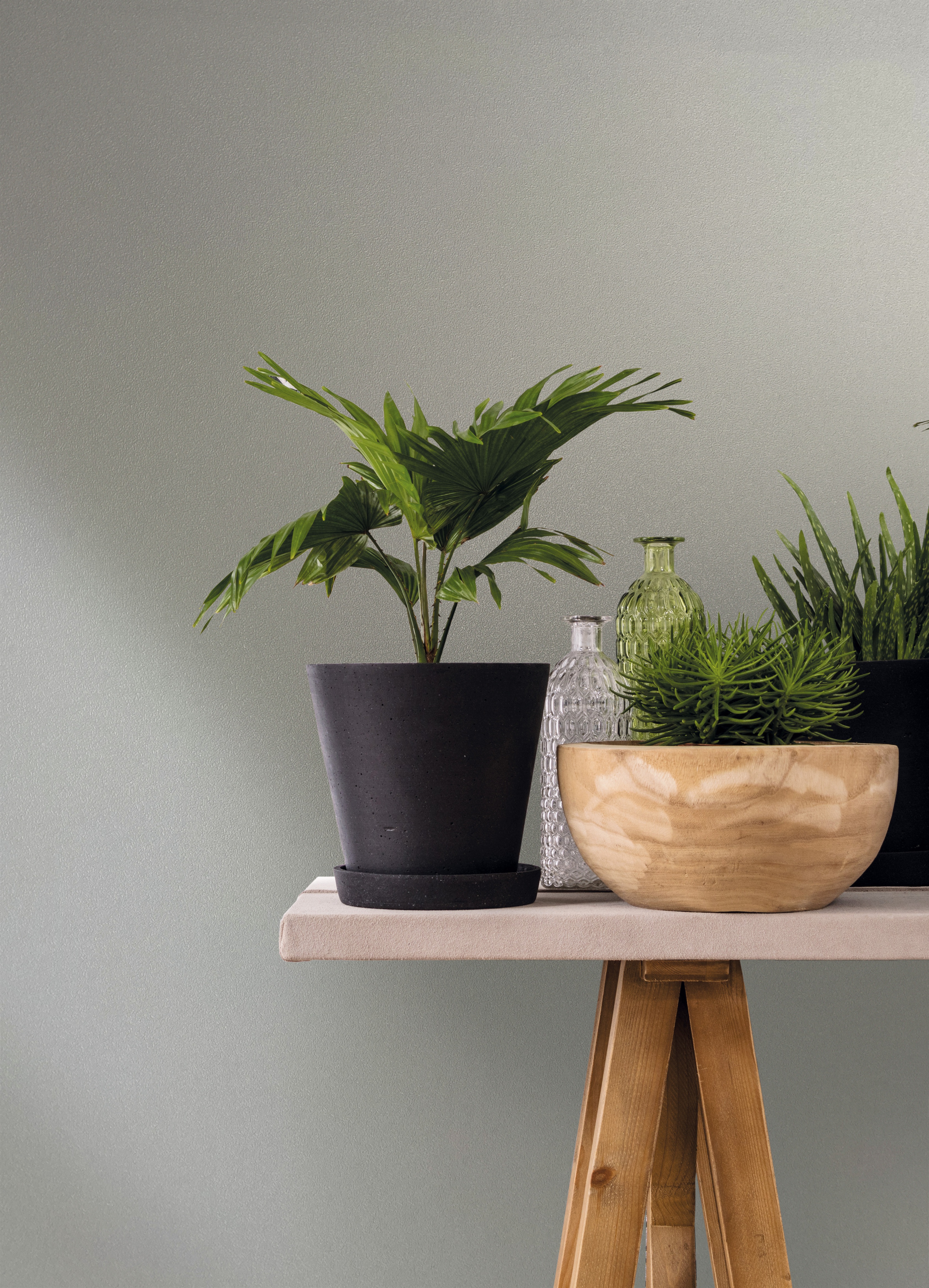 82514 Wallpaper Naomi