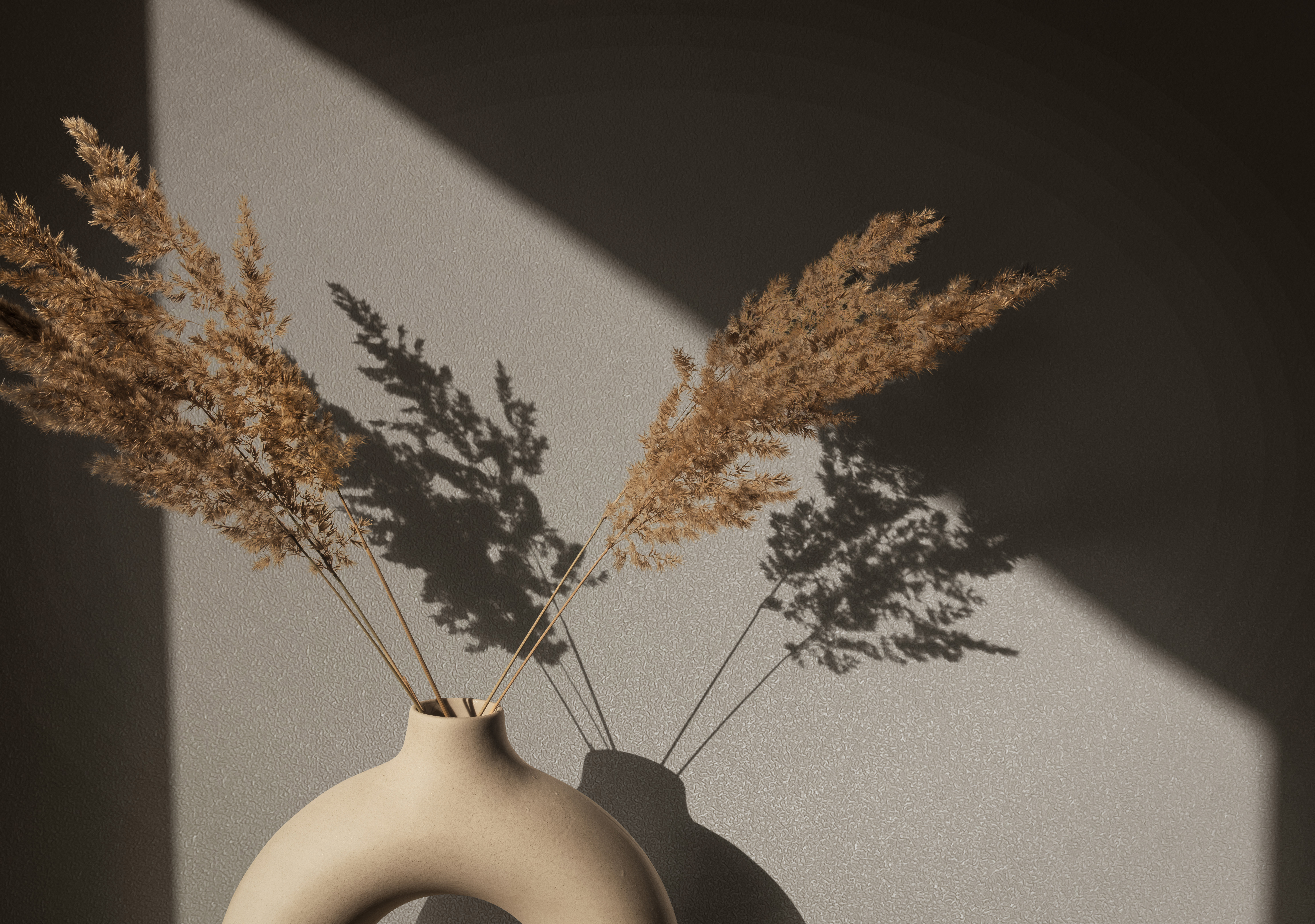 82517 Wallpaper Naomi