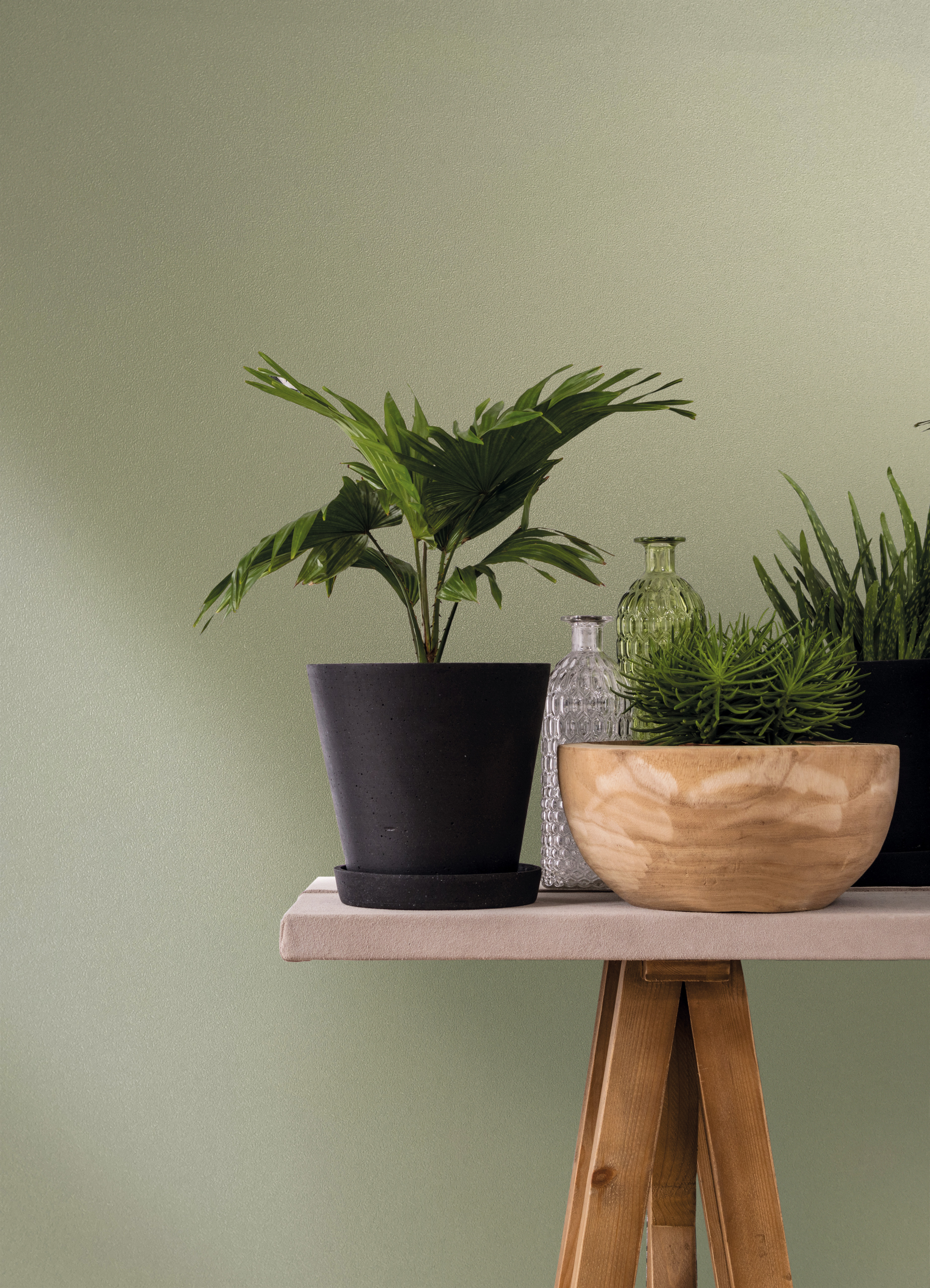 82520 Wallpaper Naomi