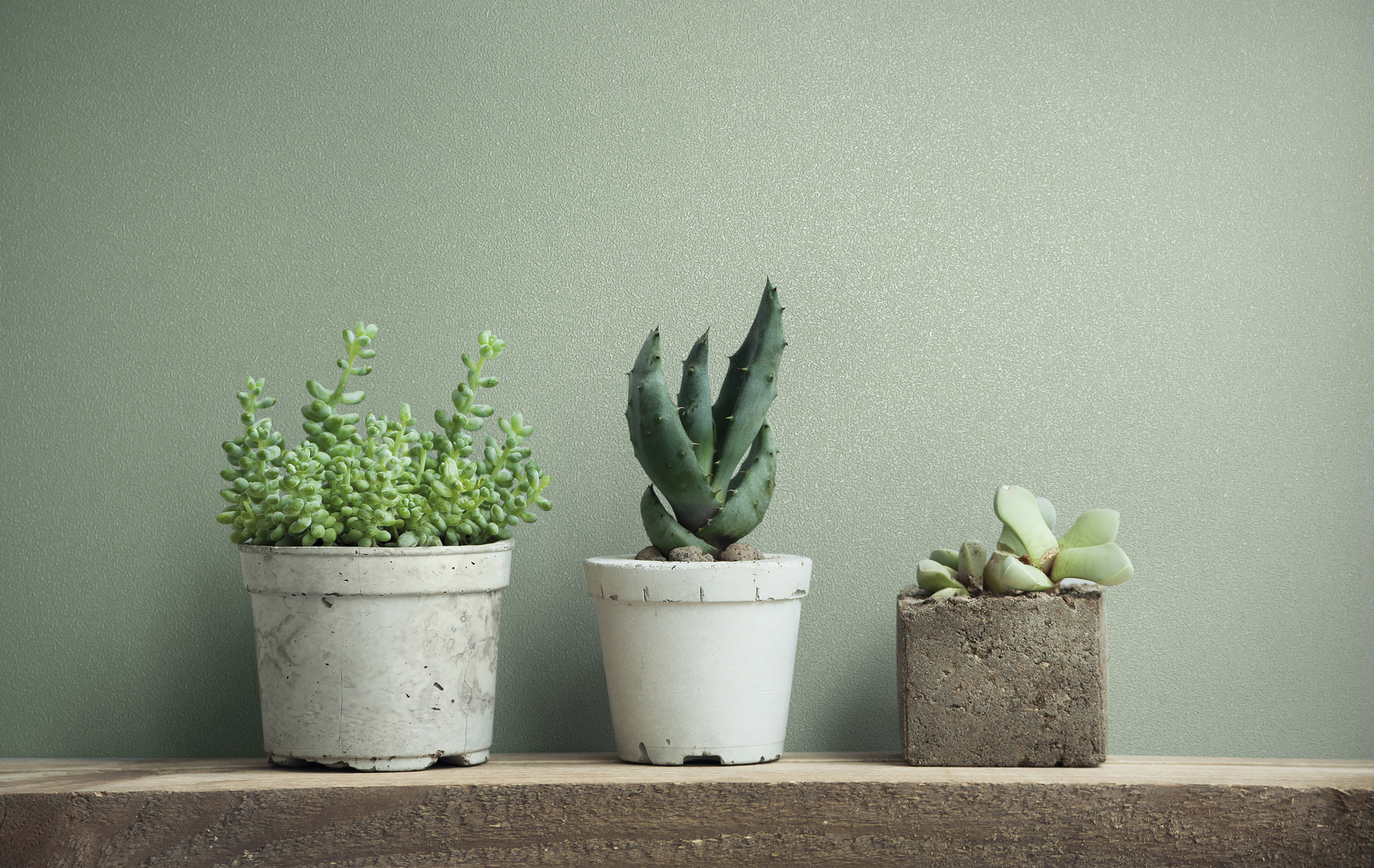 82522 Wallpaper Naomi