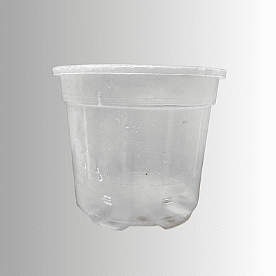 Shrub Clear Plastic Pot 14cm