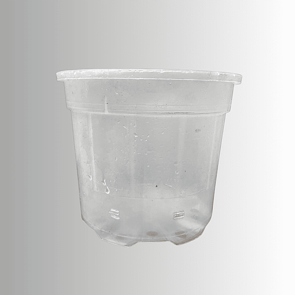 Shrub Clear Plastic Pot 16.5cm