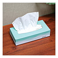 Windsoft Premium Facial Tissue, 2 Ply, White, Flat Pop-Up Box, 100 Sheets/Box - 30 Boxes/Carton