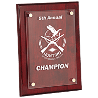 Piano Finish Floating Acrylic Plaque - Premium Corporate Award