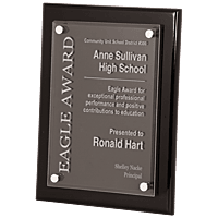 Piano Finish Floating Acrylic Plaque - Premium Corporate Award