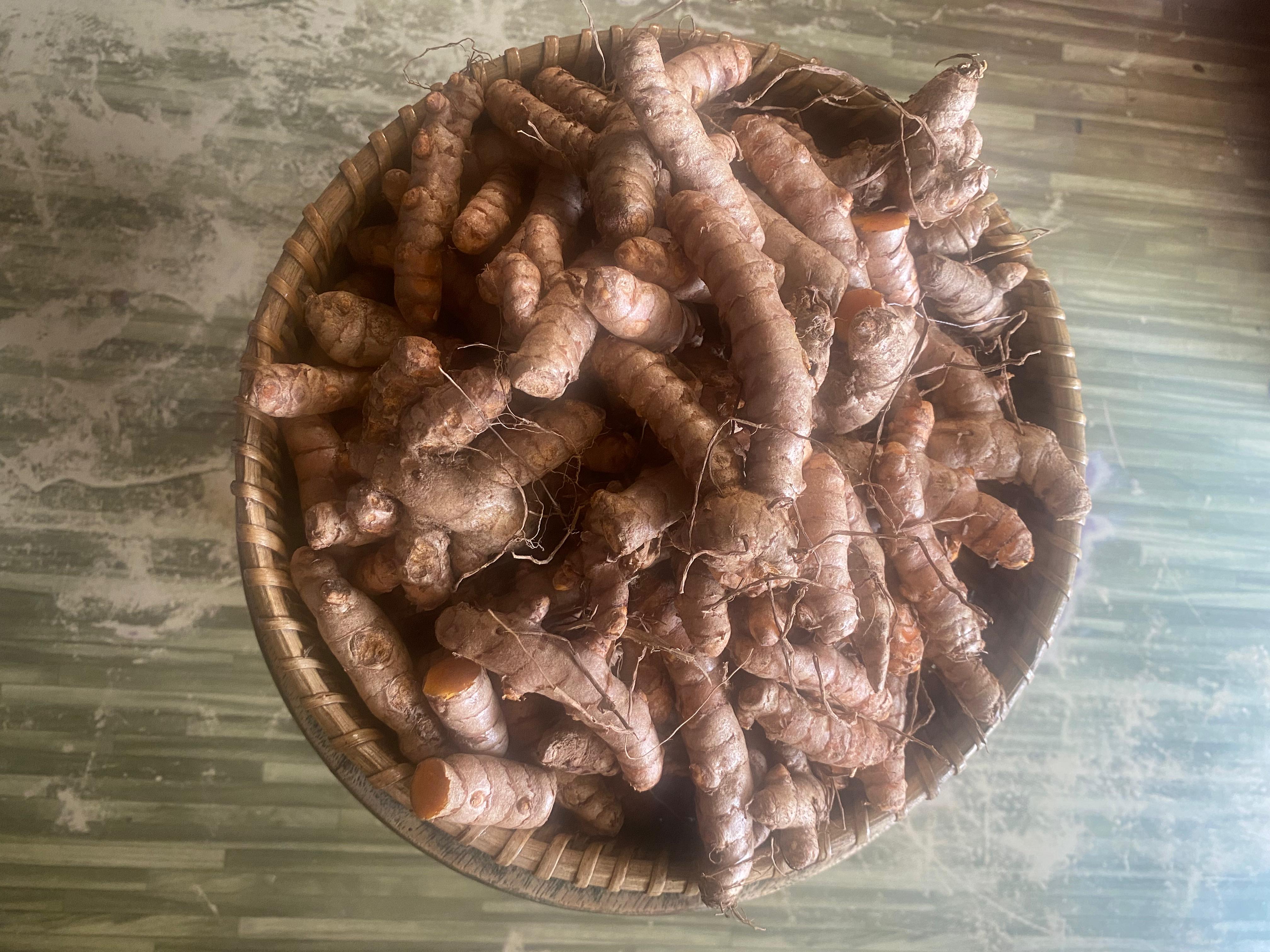 Virali Manjal Turmeric Seed