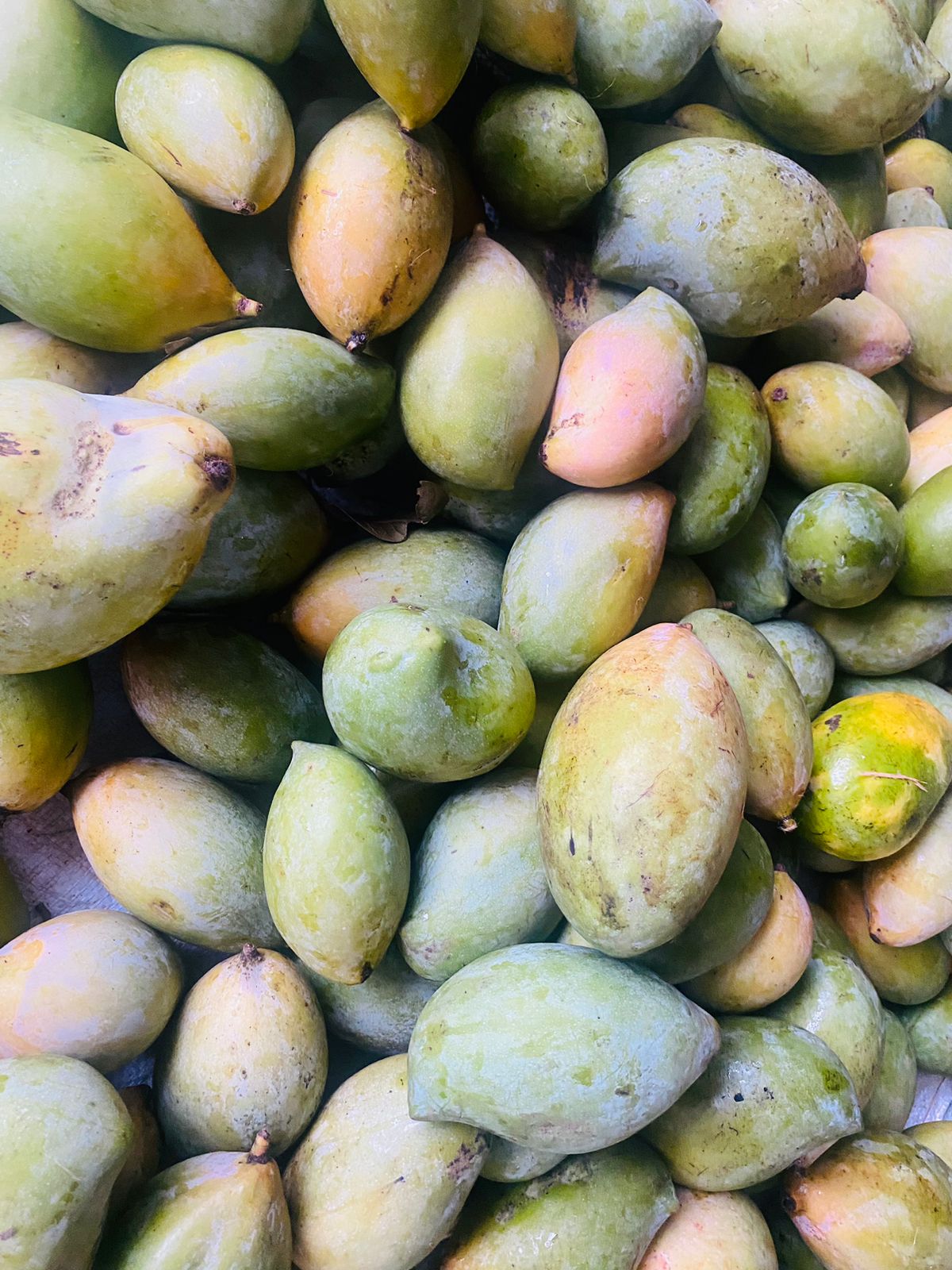 Mango - Kilimooku 5kg