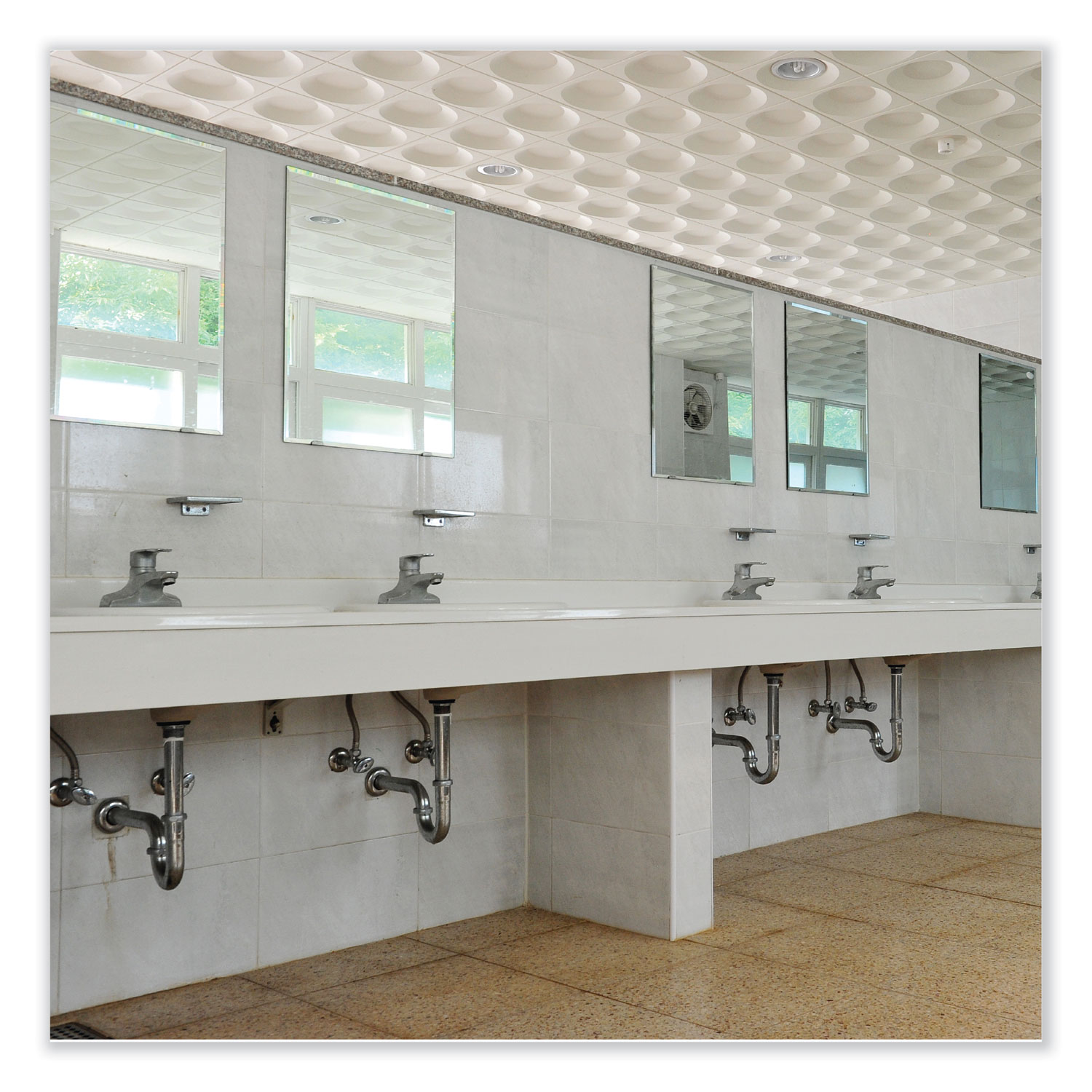 BestScent Smoke and Odor Eliminator Aerosol, Fruit/Floral Scent, 16 oz Aerosol Can - 12/Case