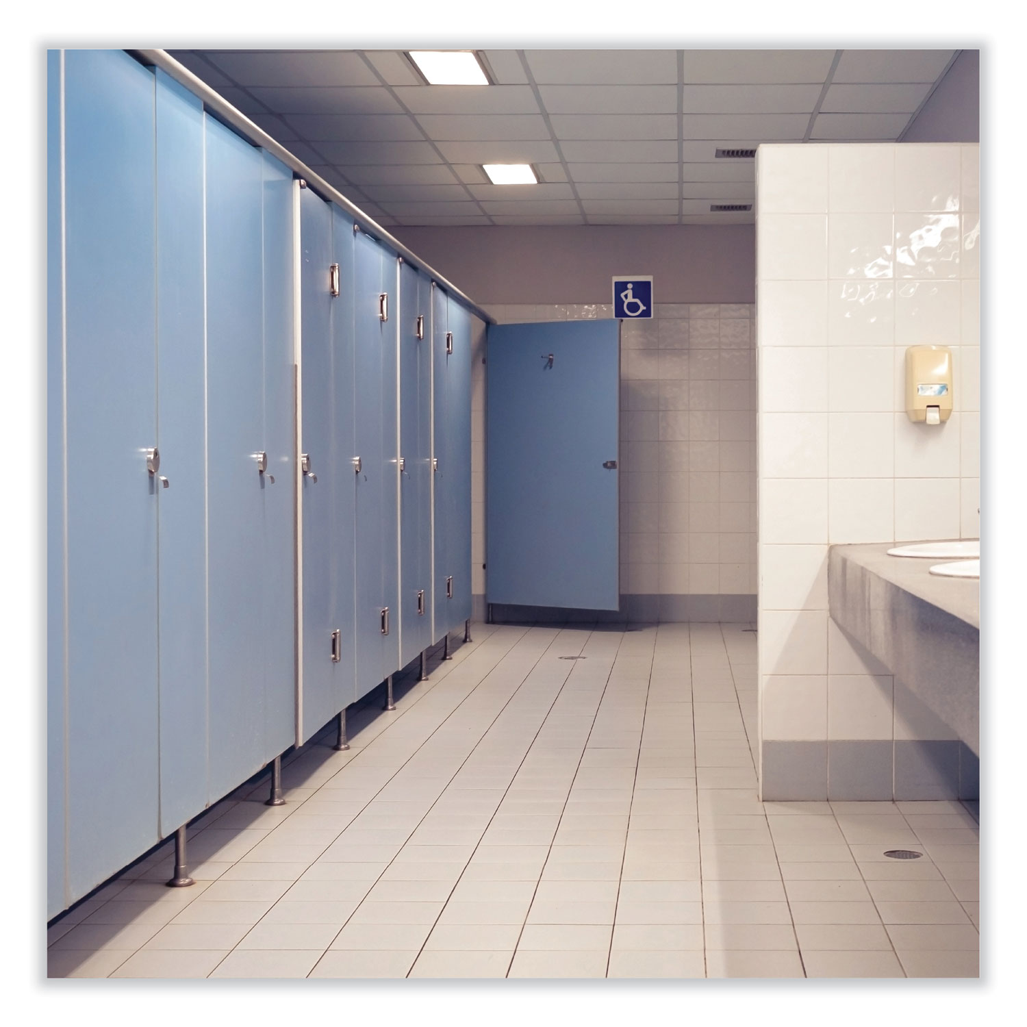 BestScent Smoke and Odor Eliminator Aerosol, Fruit/Floral Scent, 16 oz Aerosol Can - 12/Case