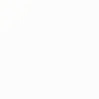 Liquitex (SB) Soft Body Titanium White S1