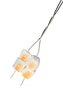 Coghlan's 20" Toaster Forks